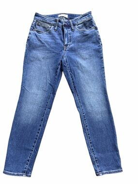 Madewell Skinny Jeans in Medium Blue Wash curvy roadtripper